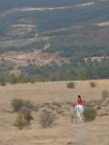 paseo a caballo